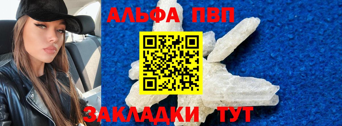 A PVP крисы CK Алейск