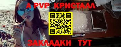 дмт Аргун