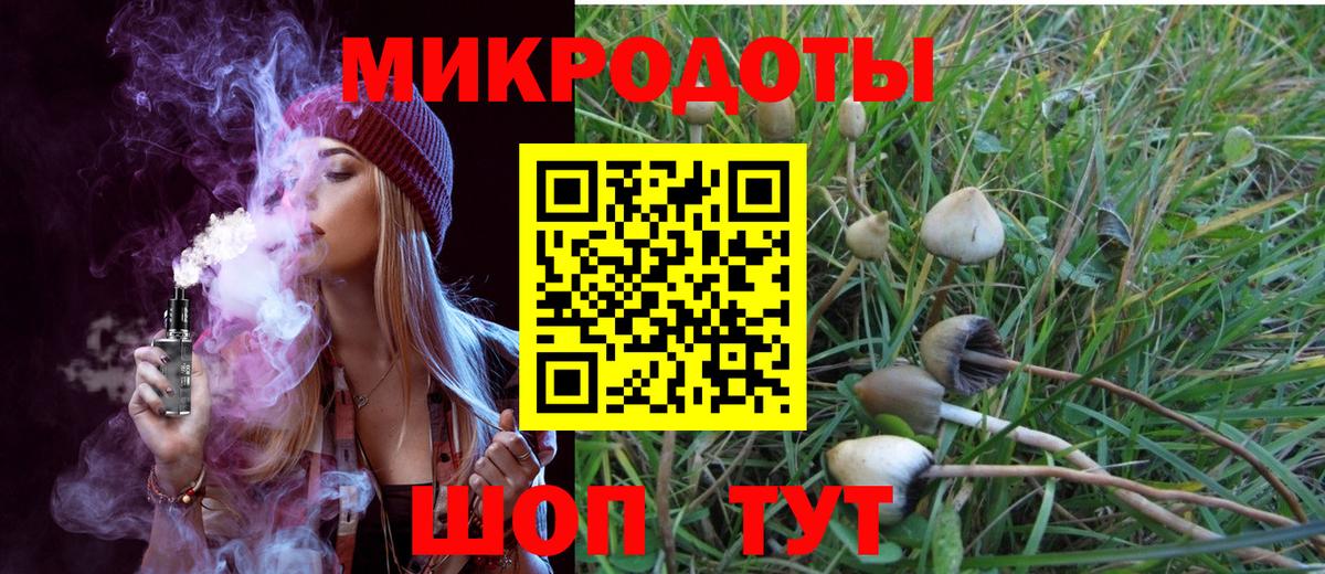Псилоцибиновые грибы прущие грибы Алейск