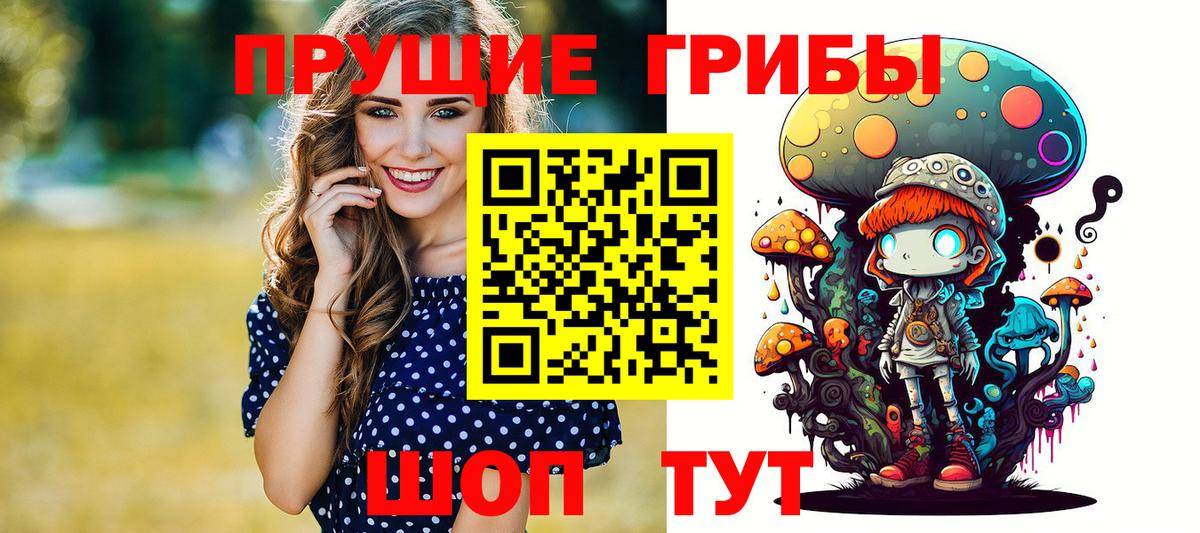 Галлюциногенные грибы Psilocybe  Псилоцибиновые грибы мицелий  Алейск  Вход с VPN 
