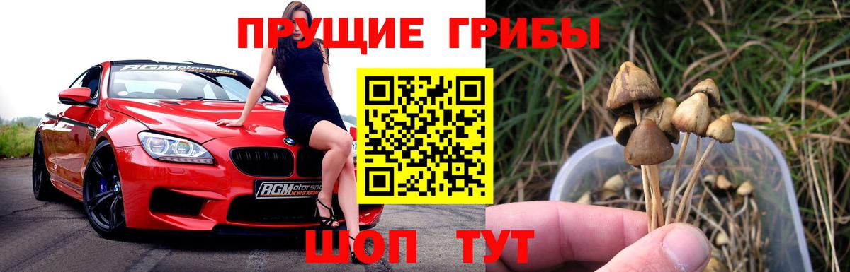 Codein Алейск